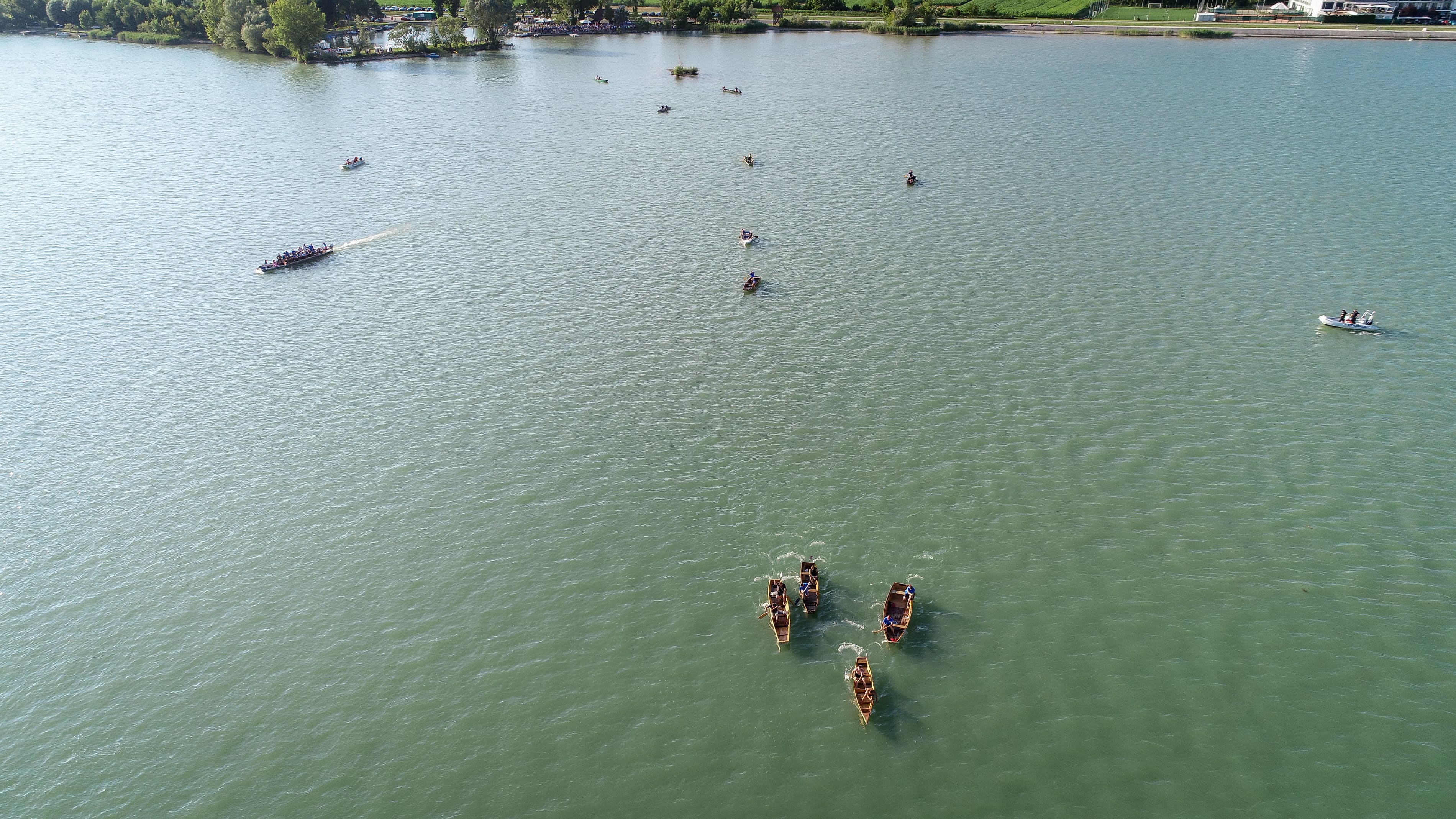 LOV NA LABUĐE PERO 2024.